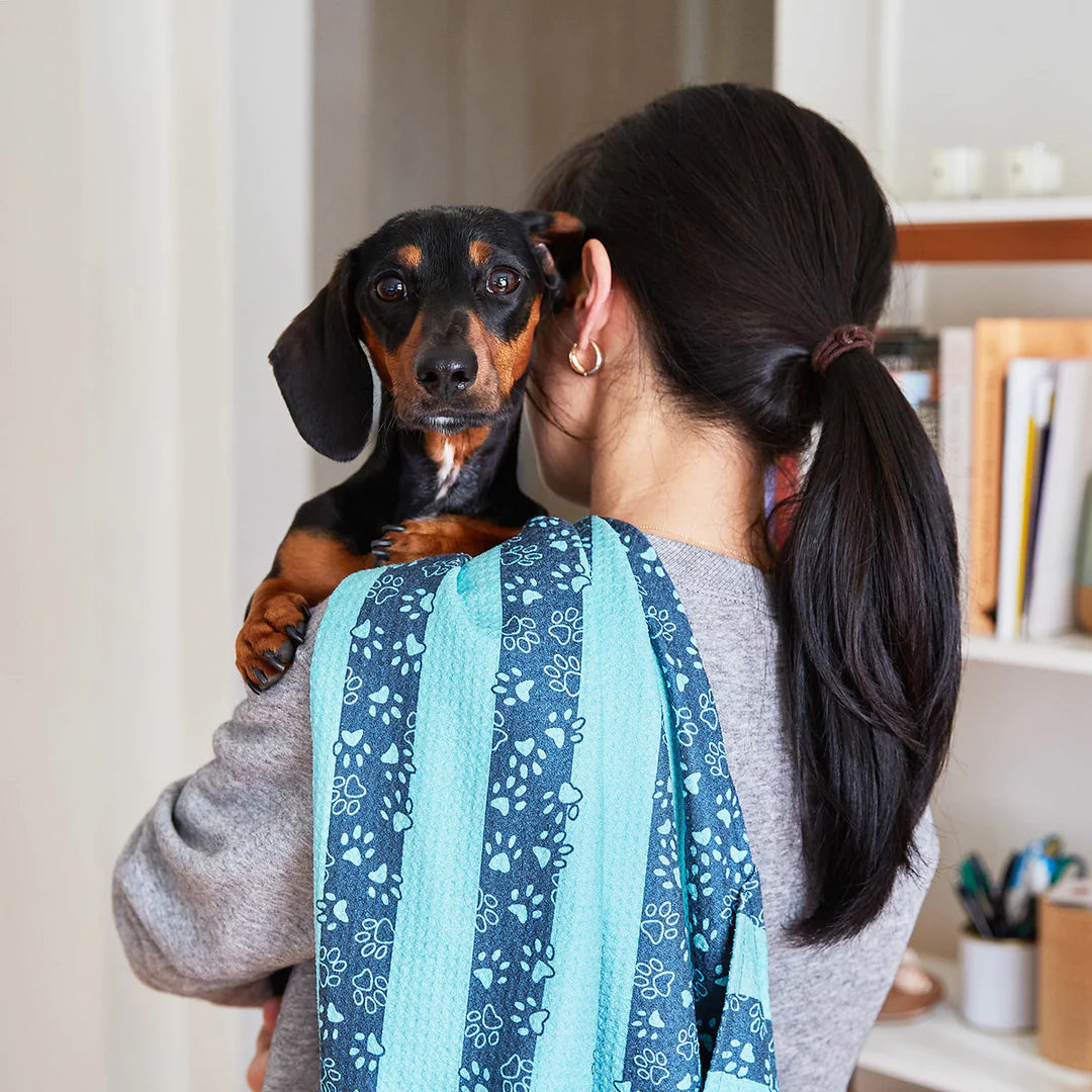 Dog & Bay - Towels For Pets - Dog Days