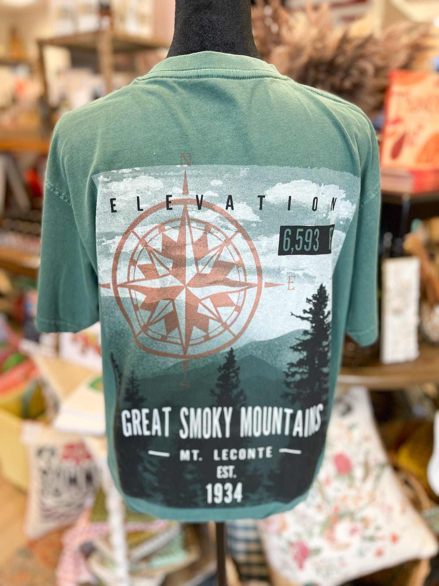 Mt. LeConte Elevation T-Shirt