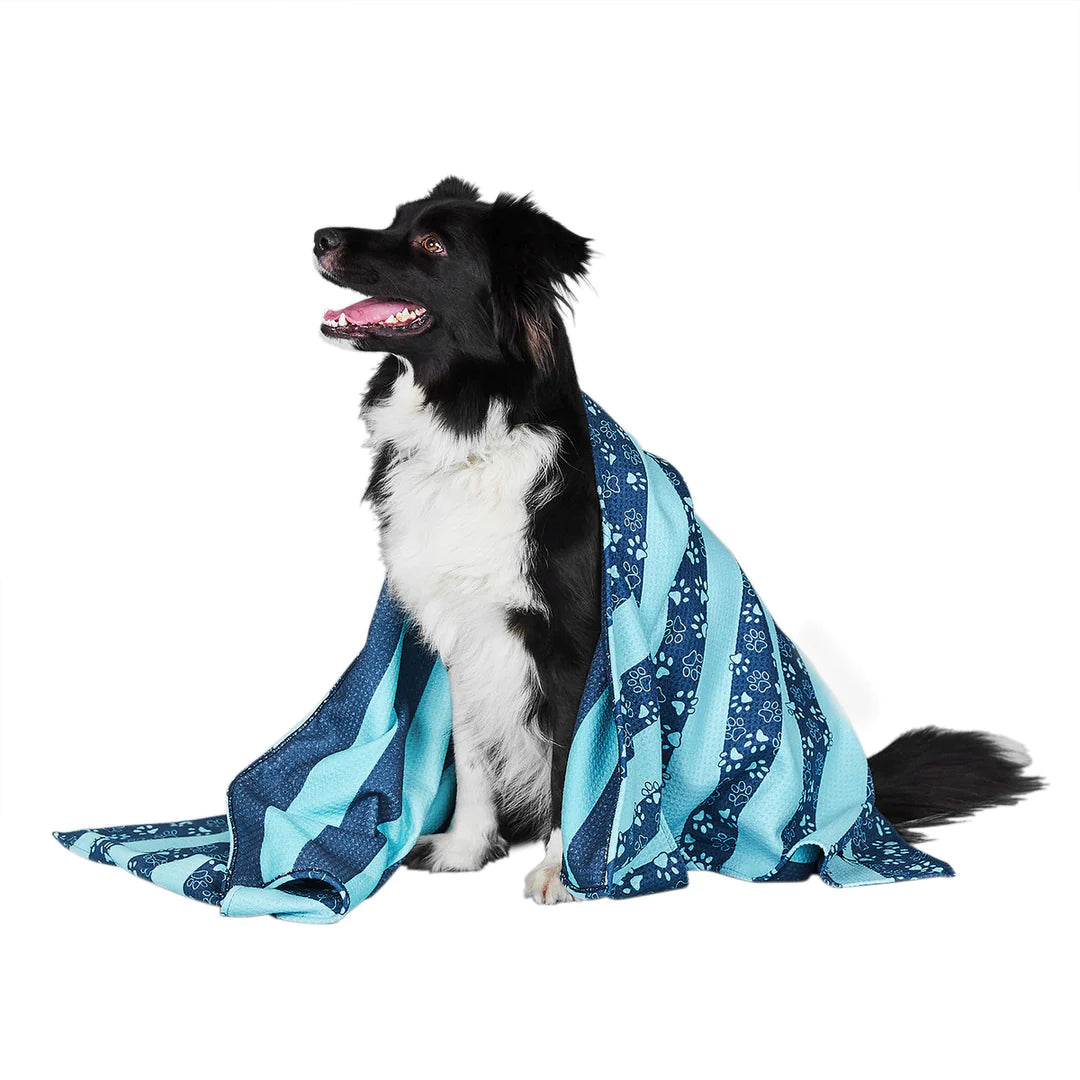 Dog & Bay - Towels For Pets - Dog Days