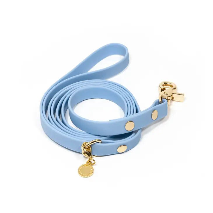 Dog Leash Waterproof - Blue, Lightweight