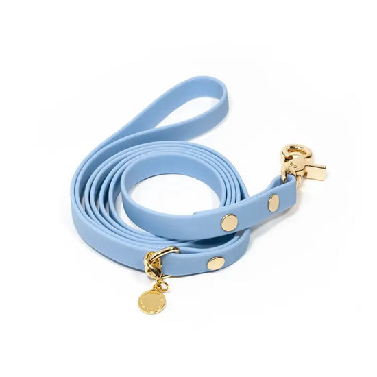 Dog Leash Waterproof - Blue, Lightweight