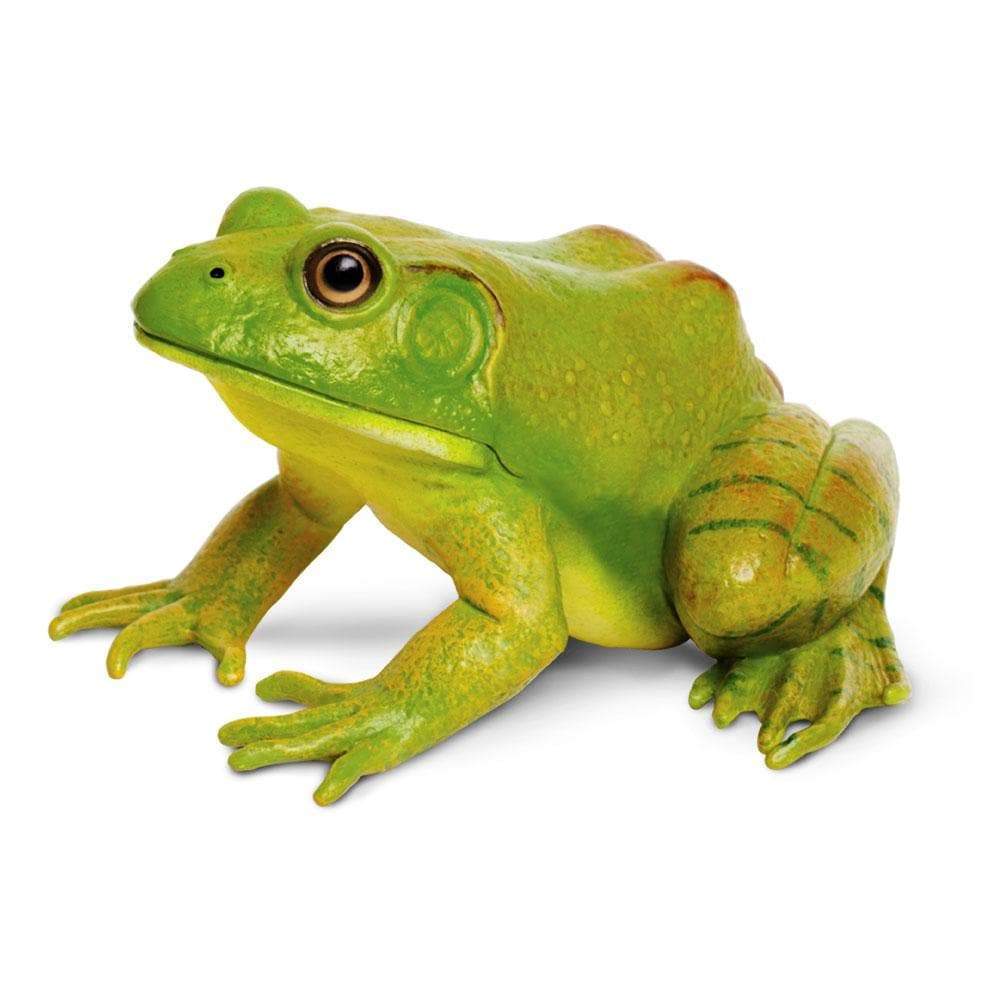 American Bullfrog Toy