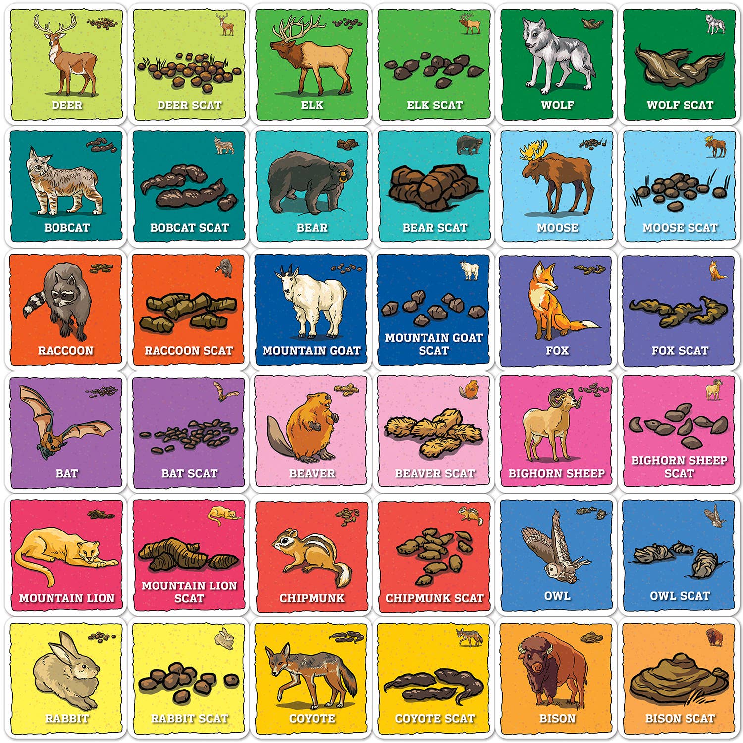 Jr. Ranger - Animal Poop Matching Game – TownsendMercantileCo