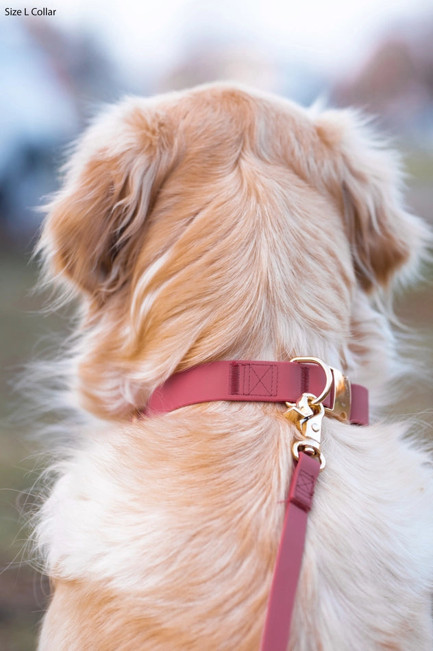Mulberry Burgundy Waterproof Dog Collar