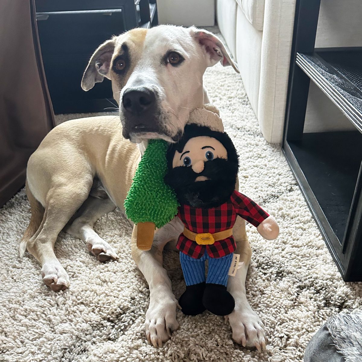 Tall Tails - PAUL BUNYAN ROPE BODY DOG TOY