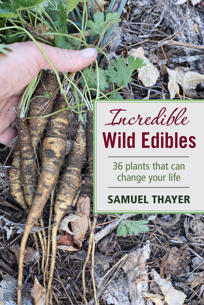 Load image into Gallery viewer, Incredible Wild Edibles: Paperback
